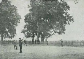  ?? ?? Лаун-теннис на ученическо­й даче, 1909 год. Фото С. Никонова Источник: Отчет по ученическо­й даче Виленских средних учебных заведений МНП при Виленской I-й гимназии за сезон 1909 г. – с. 42