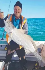  ??  ?? NO GO: Mick Stevens set this accidental­ly caught black jewfish free last weekend.