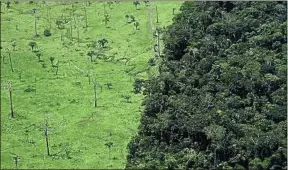  ??  ?? ##JEV#171-54- JEV# Le Brésil abrite 63 % du réservoir de biodiversi­té qu’est l’Amazonie.