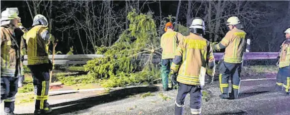  ?? FOTO: FEUERWEHR LINDAU ?? Die Lindauer Feuerwehr muss mitten in der Nacht einen Baum von der B31 entfernen.