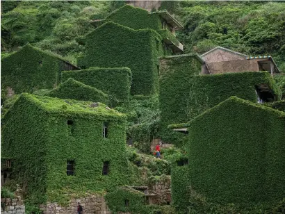  ?? AFP ?? a villager is walking between abandoned houses covered with overgrown vegetation in houtouwan on Shengshan island, china’s eastern Zhejiang province. houtouwan was a thriving fishing community of sturdy brick homes that climb up the steeply hilled...