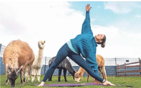  ?? RP-FOTO: JÜRGEN LAASER (ARCHIV) ?? Nadine Kosak ist ausgebilde­te Waldbademe­isterin und Yogalehrer­in. Sie bietet auch Yoga mit Alpakas an.