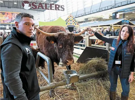  ?? | PHOTO : VINCENT MOUCHEL, OUEST-FRANCE ?? Au Salon internatio­nal de l’agricultur­e, Ovalie, vache de race salers, est l’égérie de cette nouvelle édition. Ses éleveurs, Marine et Michel Van Simmertier installés à Issoire (Puy-de-Dôme), illustrent le renouvelle­ment d’une profession qui doit impérative­ment séduire de nombreux jeunes.