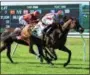  ?? PHOTO CHELSEA DURAND/NYRA ?? Homeland Security with Irad Ortiz, Jr. aboard won by a length over Savannah Belle and Jose Ortiz in the July 8 River Memories Stakes at Belmont Park.