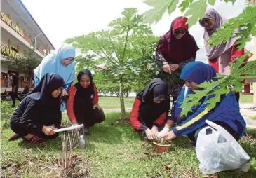  ??  ?? SEBAHAGIAN guru dan pelajar menanam pokok pada program gotong-royong di SMK Ahmad.