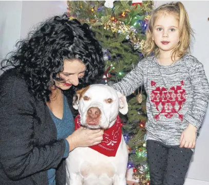  ??  ?? Marsha Lemmon and her three-year-old daughter, Hollynd, are thrilled to have their dog, Shi, back home. LYNN CURWIN/TRURO NEWS