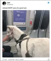  ?? @RODRLOU VIA TWITTER ?? A miniature horse that serves as a service animal was spotted riding a BART train Tuesday.