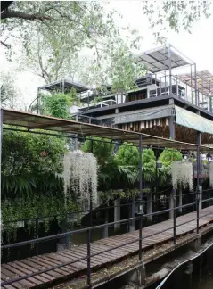  ??  ?? Opening image: Canalside cafe in Ko Kret.
Above, clockwise from bottom left: Water monitor in Lumpini Park; On the single road on Ko Kret; Bangkok Tree House in Bang Krachao.