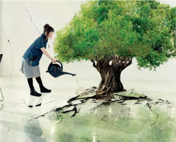  ??  ?? Nation Estate—olive Tree by Larissa Sansour, photograph­ic print, 150×75cm, 2012.