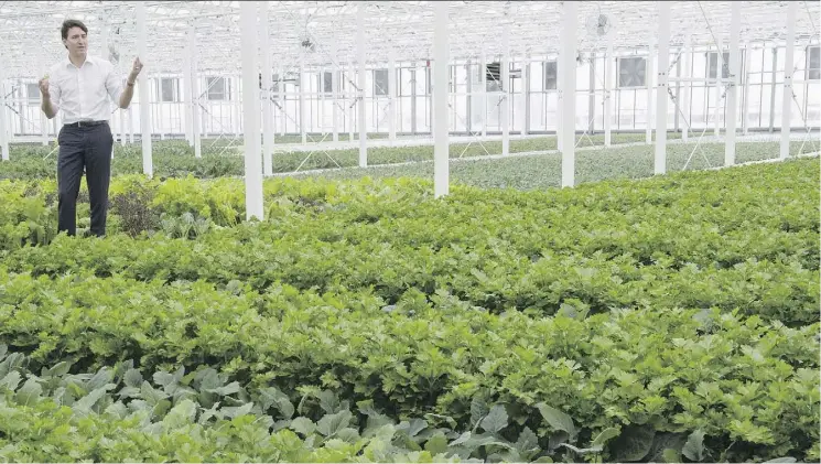  ?? PAUL CHIASSON/THE CANADIAN PRESS FILES ?? Prime Minister Justin Trudeau tours a rooftop greenhouse in Montreal. Farmers are grappling with the challenge of a carbon tax that is part of the government’s plan to help meet Canada’s commitment­s under the Paris climate accord, writes Toban Dyck....