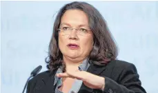  ?? FOTO: DPA ?? Mit der Reform der Betriebsre­nte will Sozialmini­sterin Andrea Nahles (SPD) die drei Rentensäul­en stärken.