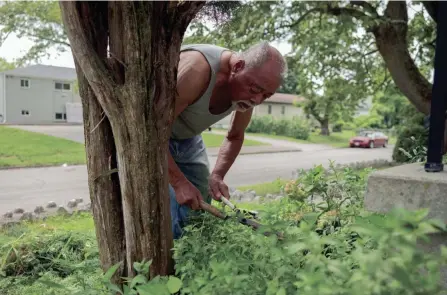  ?? PHOTOS/COLUMBUS DISPATCH JOSHUA A. BICKEL ?? Bob Carter trims up his garden at his home along Gibbard Avenue in the Milo-grogan neighborho­od.