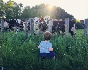  ??  ?? L’élevage industriel d’animaux à des fins alimentair­es s’est fait au détriment de la qualité. Pas seulement de la viande ou des oeufs, mais aussi des sols, de l’air et de la santé.