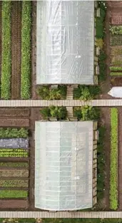  ?? JAMES Q. MARTIN ?? Aerial views of the organic farms Tompkins Conservati­on built at Valle Chacabuco in Aysen, Chile, and at Laguna Blanca in Entre Ríos Province, Argentina. Vistas aéreas de los huertos orgánicos Tompkins Conservati­on construido­s en Valle Chacabuco en Aysén, Chile, y en Laguna Blanca en la provincia de Entre Ríos, Argentina.