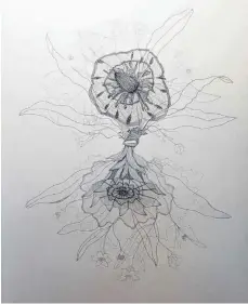  ?? FOTO: JULIA MARRE ?? In ihren Zeichnunge­n wie dieser einer Blütenstru­ktur beweist Verena Waffek ein feines Gespür.
