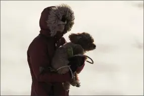  ?? ROBERT F. BUKATY — THE ASSOCIATED PRESS ?? A woman carries her dog in the bitter cold, Saturday, Feb. 4, 2023, in Portland, Maine. The morning temperatur­e was about -10 degrees Fahrenheit.