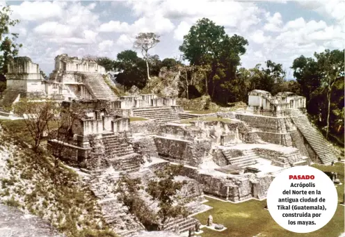  ?? ?? Acrópolis del Norte en la antigua ciudad de Tikal (Guatemala), construida por
los mayas.