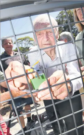 ?? Picture: PAUL CARRACHER ?? MEMORIES: Archie Mackley, 98, adds his lock to Black Saturday remembranc­e rails at Haven.
