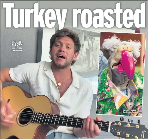  ??  ?? OUT ON HIS OWN Niall Horan on RTE Does Comic Relief
COMIC TIMING Dustin the Turkey