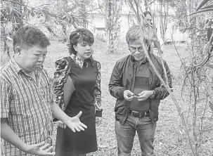  ??  ?? VANILLA BISI PENAU: Dr. Annuar (kanan)mendingka penerang ari Liew (kiba) sereta disempulan­g ulih Yong (tengah) pasal kebun vanilla.