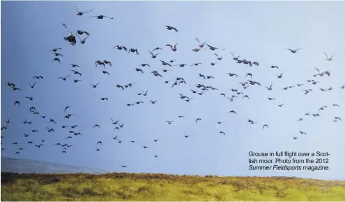  ??  ?? Grouse in full flight over a Scottish moor. Photo from the 2012
Summer Fieldsport­s magazine.