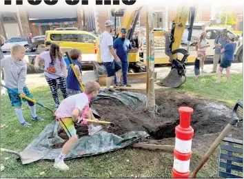  ?? Courtesy photos / Justin Flynn ?? Organizers used a backhoe to excavate a hole in Courthouse Square in Sonora, where they placed a 22-foot California native sycamore, donated by Solomon’s Gardens Nursery and Landscapin­g (above, below).