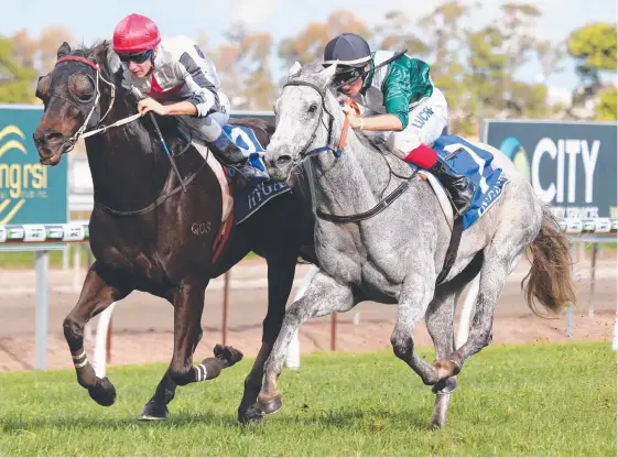  ?? Picture: GLENN HAMPSON ?? Nakanai, ridden by Clayton Gallagher, holds off Limited to win the 13th race of his career, the BenchMark 62 (1100m) at Aquis Park.