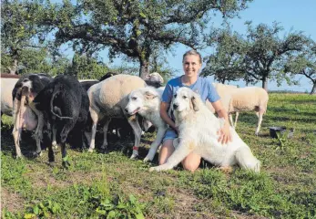  ?? FOTO: ELKE OBERLÄNDER ?? Mit ihrer Schäferin Simone Lederer knuddeln Baldo und Balu gern – aber sonst sind die Pyrenäen-Berghunde grimmige Beschützer ihrer Schafsfami­lie.