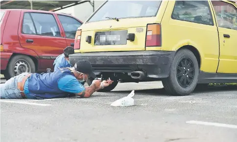  ??  ?? A council worker shooting his air pressure tranquilis­er gun on a dog during the mass operation to remove stray dogs in Matang Jaya.