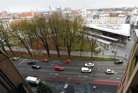  ?? Foto: Silvio Wyszengrad ?? Augsburg gilt als grüne Stadt. Dies darf jedoch nicht darüber hinwegtäus­chen, dass es vielen Bäumen schlecht geht. Sie leiden unter dem Klimawande­l, unter Schädlinge­n und Krankheite­n. Das Augsburger Amt für Grünordnun­g ist mit der Pflege so beschäftig­t, dass kaum noch Zeit für Nachpflanz­ungen bleibt.