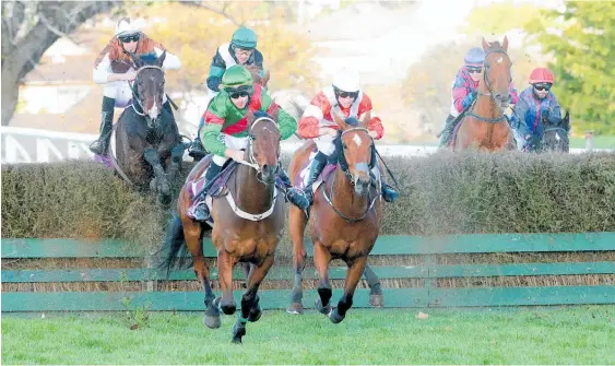  ?? Photo / Trish Dunell ?? Talented jumper Max (green, foreground) will contest the LJ Hooker Hurdle today in preparatio­n for a likely tilt at the Pakuranga Hunt Cup.