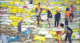  ?? SAMEER SEHGAL/HT ?? ■
STACKING UP Volunteers keeping wheat bags offered by devotees in a store of the Golden Temple community kitchen in Amritsar recently.