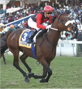  ?? Picture: Gold Circle ?? EASY DOES IT: African Night Sky cruises in under Grant van Niekerk in the Grade 3 Cup Trial over 1800m at Greyville at the weekend. The winning margin was 0.75 lengths but the handicappe­rs treated it as two lengths due to the ease of victory.