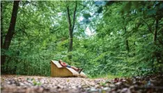  ?? Foto: Dietmar Denger, Stadt Wemding ?? Das Waldbaden ist auch ein Thema, auf das die Stadt Wemding beim Tourismus setzt.