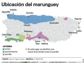  ??  ?? El arqueólogo Jaime Pagán Jiménez es puertorriq­ueño e investigad­or senior en paleoetnob­otánica y arqueologí­a de la Facultad de Arqueologí­a, en la Universida­d de Leiden, Holanda.