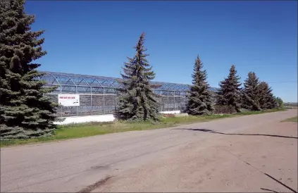  ?? NEWS PHOTO GILLIAN SLADE ?? If a land-use bylaw is changed and a developmen­t applicatio­n approved, this greenhouse could be turned into a 50,000 square-foot cannabis production and distributi­on facility by Cayla Bio Developmen­ts Limited.