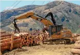  ?? PHOTOS: STUFF ?? Harvesting logs has generated close to $25m in the past 10 years for Marlboroug­h Regional Forestry.