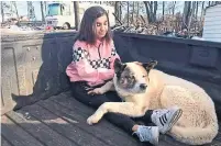  ?? BEN LEPE THE ASSOCIATED PRESS ?? Maleah Ballejos is happy to be reunited with her 12-year-old Akita, Kingston, after the dog had been missing for 101 days.