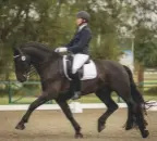  ??  ?? Katharine Lewis and Friesian stallion Jos K win at elementary