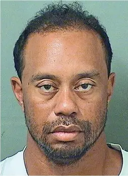  ??  ?? Rock-bottom: Tiger Woods’ mugshot shocked the world
