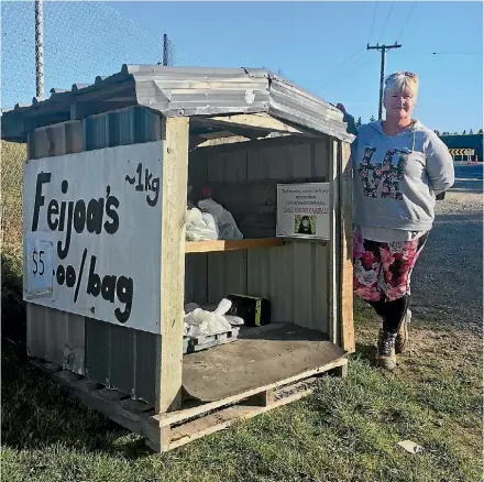  ?? EMMA DANGERFIEL­D/STUFF ?? Jan Hayes, of CJs Plant Barn is gobsmacked that her honesty box was robbed twice in three days.