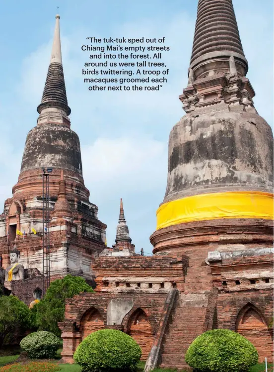  ??  ?? “The tuk-tuk sped out of Chiang Mai’s empty streets and into the forest. All around us were tall trees, birds twittering. A troop of macaques groomed each other next to the road”
