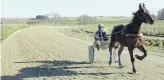  ??  ?? Harness racing driver Matthew Williamson drives 2yearold Ben at Williamson Racing’s training track at its Totara Base. Matthew is the son of leading trainer Phil Williamson. Matthew’s brothers Nathan and Brad are also drivers. All three have had success on the track and over the years the family has dominated the Otago Harness Racing Awards.