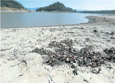  ?? FOTOS: MARVIN SALGADO ?? La represa Los Laureles apenas tiene el 45.2% de su capacidad de almacenami­ento de agua.