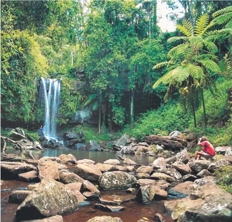  ?? Picture: PETER LIK ?? The walk to the bottom of Curtis Falls may only take 30 minutes, but you’ll want to linger to soak up the view.