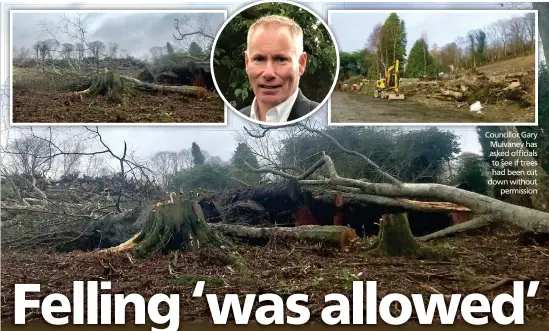  ?? ?? Councillor Gary Mulvaney has asked officials to see if trees had been cut down without permission