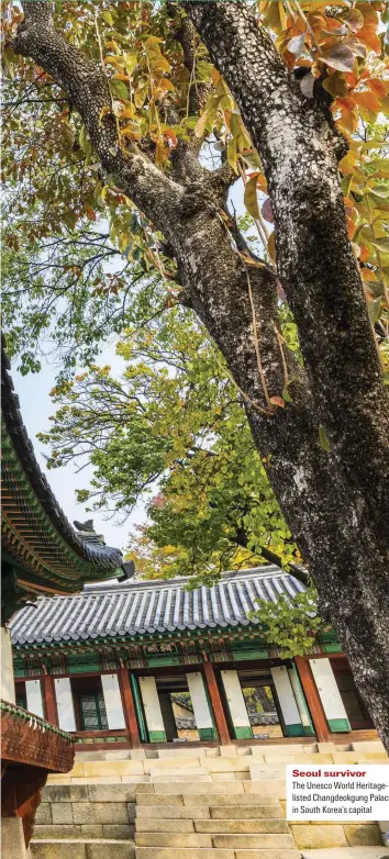  ??  ?? Seoul survivor The Unesco World Heritageli­sted Changdeokg­ung Palace in South -orea’s capital