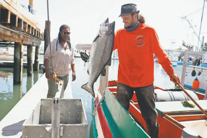  ?? Photos by Scott Strazzante / The Chronicle ?? Joshua Gift and Erica Clarkson unload their salmon catch from the fishing boat Doris at H&H Fish in Santa Cruz in May. The sports season starts Saturday.