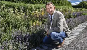  ?? FOTO: ANDERS WIKLUND/TT ?? Humlor och andra bin behöver blommor, och blommorna behöver de pollineran­de insekterna. Dave Goulson är starkt kritisk till det industriel­la jordbruket som ödelagt enorma områden i Europa.