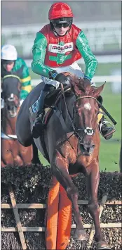  ??  ?? Quel Destin ridden by Harry Cobden on their way to victory in the JCB Triumph Trial Juvenile Hurdle at Cheltenham